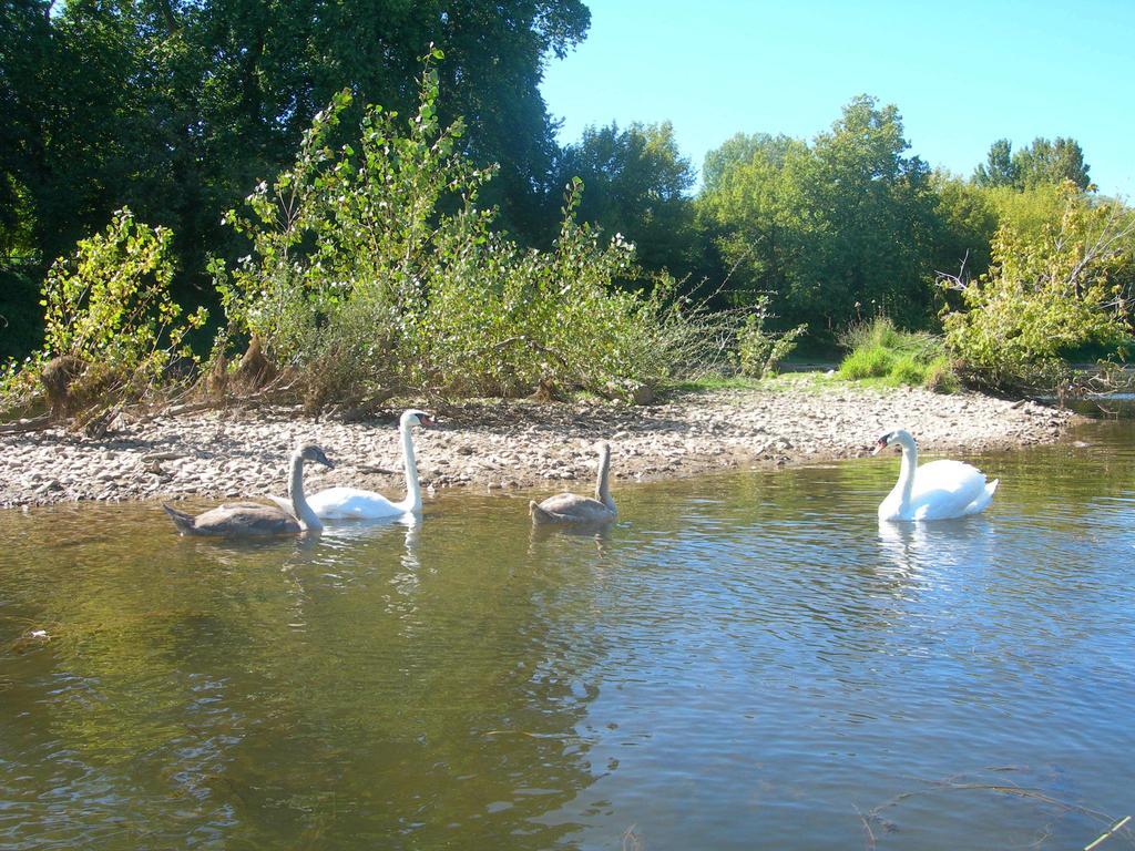 Moulin Des Sandaux แซงต์-ฟัว-ลา-กรองด์ ภายนอก รูปภาพ