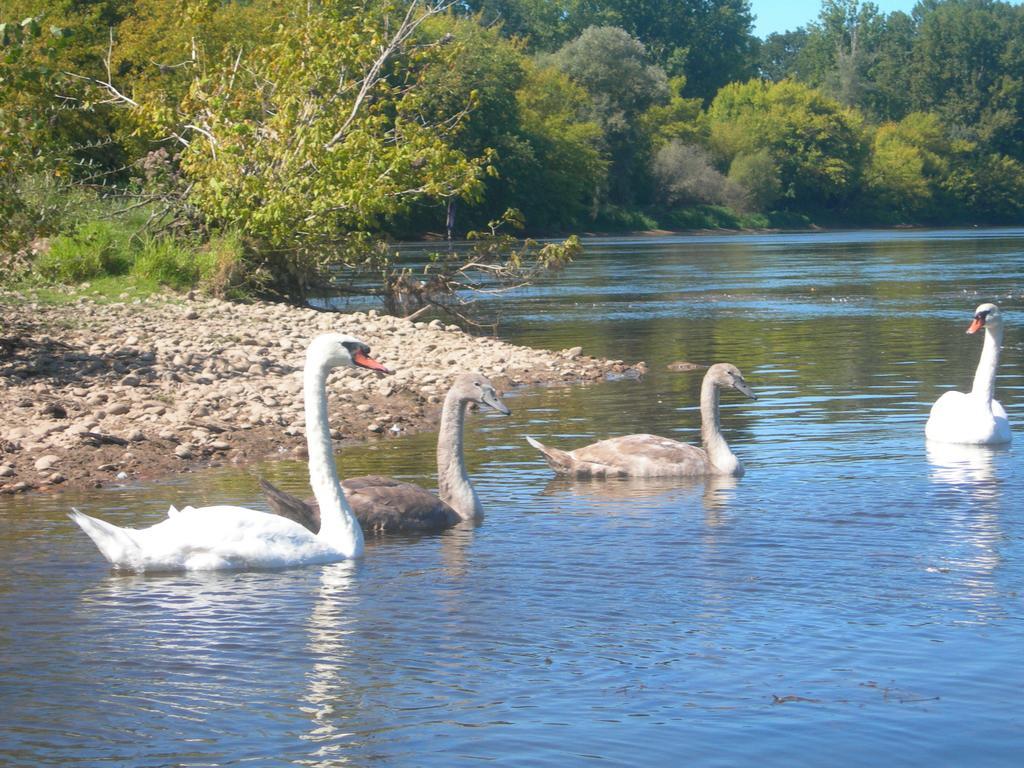 Moulin Des Sandaux แซงต์-ฟัว-ลา-กรองด์ ภายนอก รูปภาพ