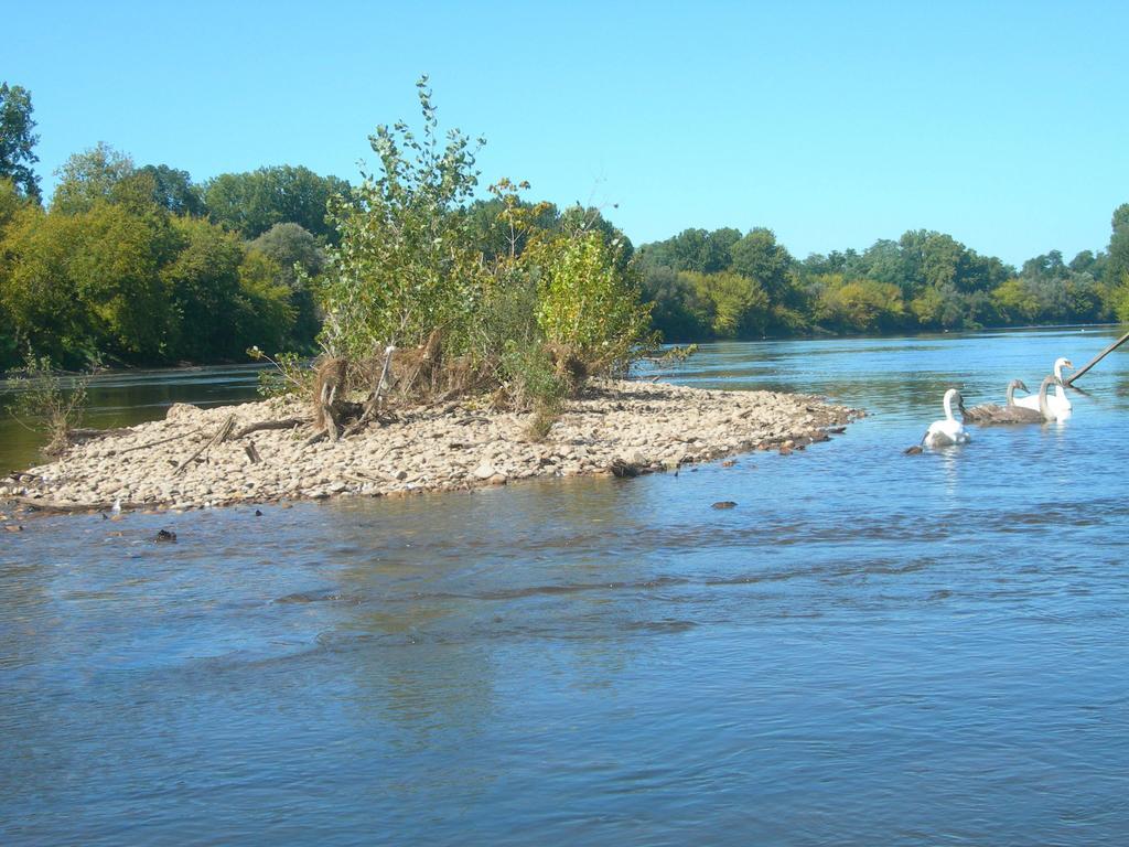 Moulin Des Sandaux แซงต์-ฟัว-ลา-กรองด์ ภายนอก รูปภาพ