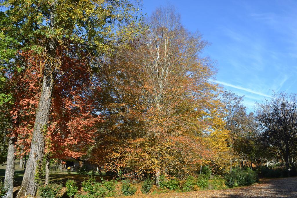Moulin Des Sandaux แซงต์-ฟัว-ลา-กรองด์ ภายนอก รูปภาพ